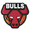 Chicago Bulls